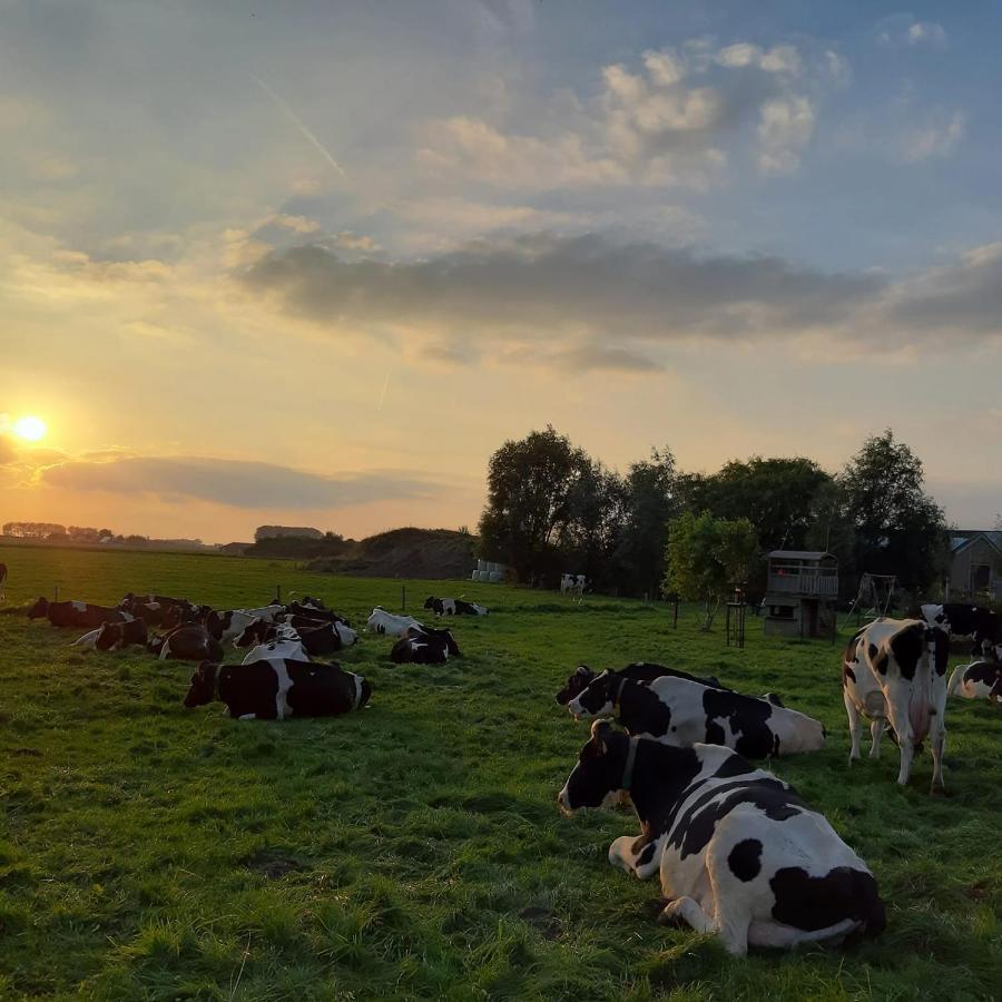 B&B De Hemelse Polder Sint-Laureins Esterno foto